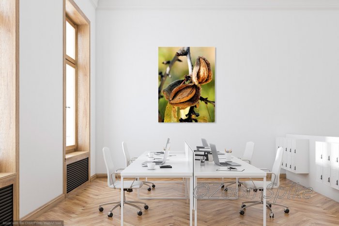 Simulated Office Art "Almond"