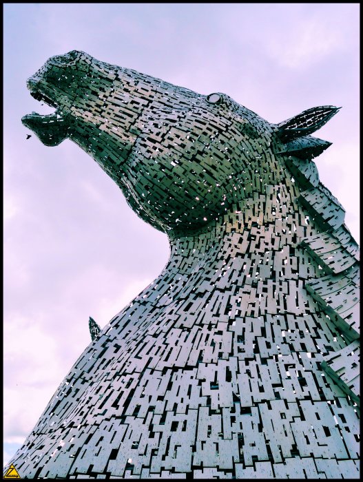 Kelpie #2