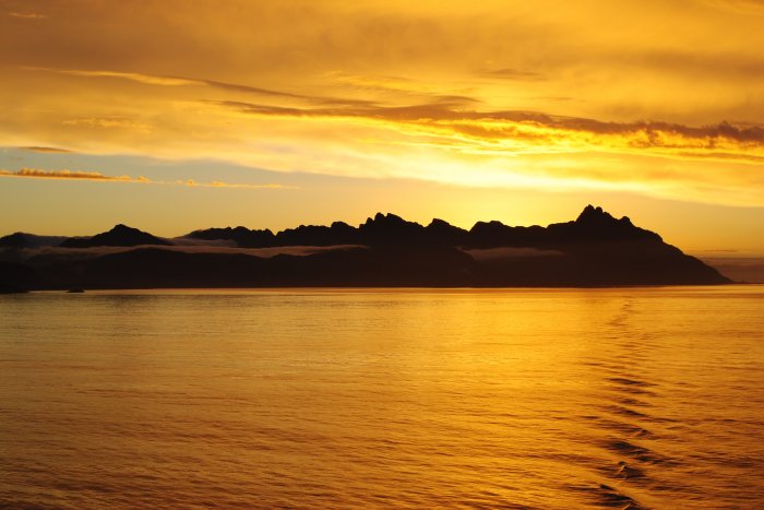 Patagonia Gold
