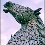 Kelpie #2